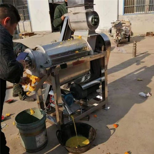 溫州工業(yè)果蔬榨汁機 創(chuàng)新定制生產(chǎn)與前沿生物感測器技術(shù)的融合